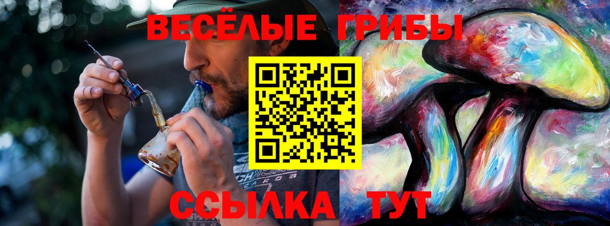 Псилоцибиновые грибы MAGIC MUSHROOMS  Вход с VPN  Зима 